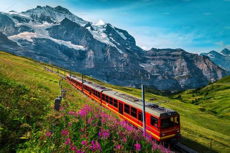 Saint Moritz, Train Wall Art, Scenic Train Rides, Train Route, Luxury Train, Train Journey, Zermatt, Train Rides, Free Travel