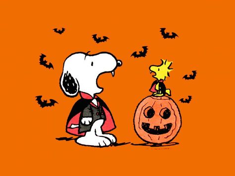 Snoopy And Woodstock Fall, Halloween Imagenes, Wallpaper Snoopy, Halloween Snoopy, Woodstock Snoopy, Peanuts Halloween, Charlie Brown Halloween, Snoopy Halloween, Snoopy Images