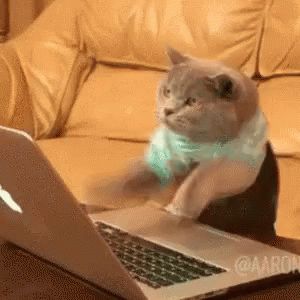 Cat Computer GIF - Cat Computer Typing - Discover & Share GIFs A Cat, Gif, Laptop, Computer