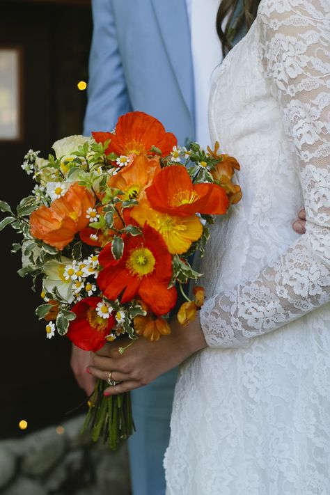 California Flower Bouquet, Orange Poppy Wedding Bouquet, Poppies And Daisies Bouquet, Poppy In Hair, California Poppies Bouquet, 70s Flower Bouquet, California Poppy Bouquet Wedding, Poppy Flower Wedding Bouquet, 60s Wedding Bouquet