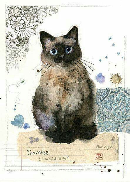 Art Greeting Cards, Söt Katt, Bug Art, 강아지 그림, Lukisan Cat Air, Watercolor Cat, Cats Illustration, Cat Painting, Cat Illustration