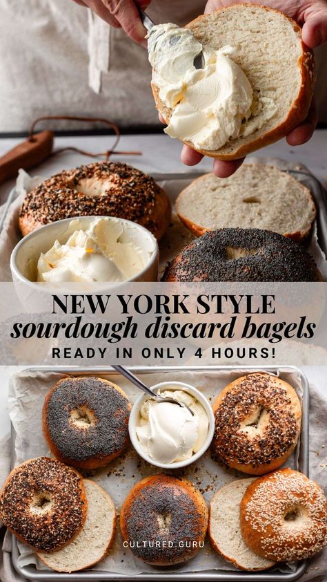 Make these absolutely delicious sourdough discard bagels in just 4 hours! This recipe for homemade sourdough bagels is great for sourdough beginners and includes an optional overnight ferment for better digestibility. This recipe works with active, bubbly sourdough starter or discard. #sourdough #bagels Bagel Sourdough Discard, New York Sourdough Bagels, New York Style Bagels Sophisticated Gourmet, Cooking Sourdough Bread, What To Do With Sourdough Starter Discard, Sourdough Starter Bagel Recipe, Gluten Free Starter Discard Recipes, Sourdough Discard Bagel Recipe, Easy Sourdough Bagels Recipe