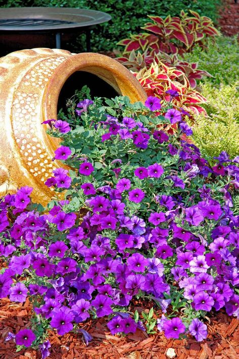 My odd pot has been a lot of fun | Mississippi State University Extension Service Flower Pot Garden, Garden Containers, Kraf Diy, Garden Cottage, Garden Spaces, Rock Garden, Petunias, Dream Garden, Yard Landscaping