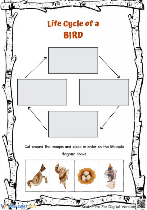 Help students explore the basic stages of a bird life cycle through this engaging worksheet. You can find and download any Bird Life Cycle worksheets for FREE at our website: http://worksheetzone.org/ Try it out! #science #scienceworksheets #birdlifecycle #livingthings  #animalslifecycle #lifecycle #stages #lifecycleofabird #birds #printables #worksheet #kidsactivities #paper&gluecrafts #cut&paste #birdcrafts #birdlifecycleforkids #paper #cards Life Cycle Of A Bird Free Printables, Life Cycle Of A Bird, Bird Worksheet, Bird Life Cycle, Bird Free, Preschool Art Activities, Bird Crafts, Science Worksheets, Homeschool Preschool