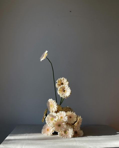 — a study on Gerberas and shapes… featuring a special guest in the last picture ✨ Minimalist allure in full bloom. One-type-of-flower arrangements: clean lines + contemporary charm. From gran en masse displays to delicate settings, each stem, petal and shape is pure inspiration. #gerbera #pinkgerbera #weddingflorals #weddingflorist #italianflorist #tuscanyflorist #tuscanywedding #pugliawedding #venicewedding Thanks Giving Flower Arrangement, Minimalistic Flower Arrangements, Gerbera Flower Arrangements, Minimal Flower Arrangements, Single Flower Arrangements, Gerbera Arrangement, Flower Arrangements Aesthetic, Flower Arrangements Vase, Minimalist Flower Arrangement