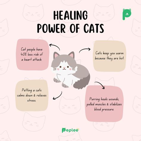 The healing power of cats !⭐💗 Which ones are your favourite fact? Comment Below!🥺 #Peplee #Cute #Cats #Love #CatFacts Cats Healing Powers, Kitty Hacks, Cat Owner Tips, Cat Healing, Cute Cats Love, Cat Therapy, Cat Advice, Cat Whisperer, Facts About Cats