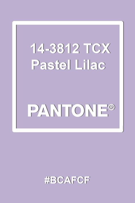 Pantone Pastel Lilac #pantone #hex Lilac Mood Board, Lilac Pantone, Pantone 2024, Pantone Trends, Easter 2024, Pastel Lilac, White Mushrooms, Desert Flowers, Trend 2024