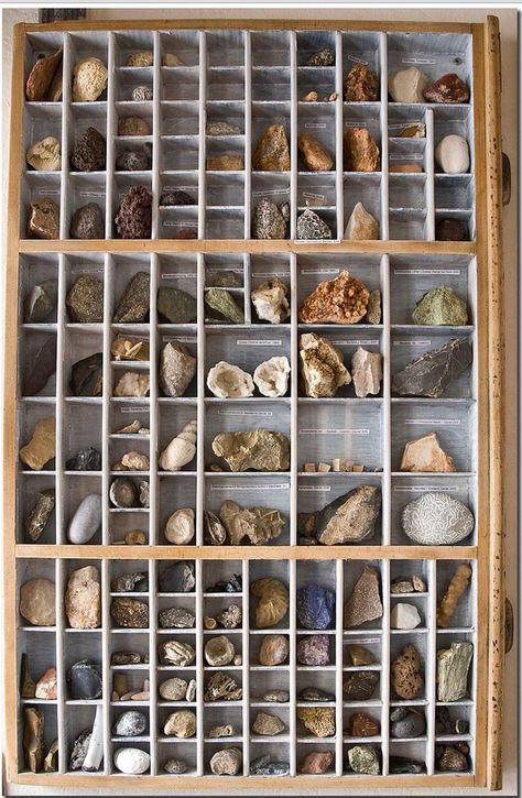 Rock Collection Drawer Rock Collection Display, Hemma Diy, Deco Nature, Printers Tray, Rock Collection, Minerals And Gemstones, Rocks And Gems, Display Design, Back To Nature