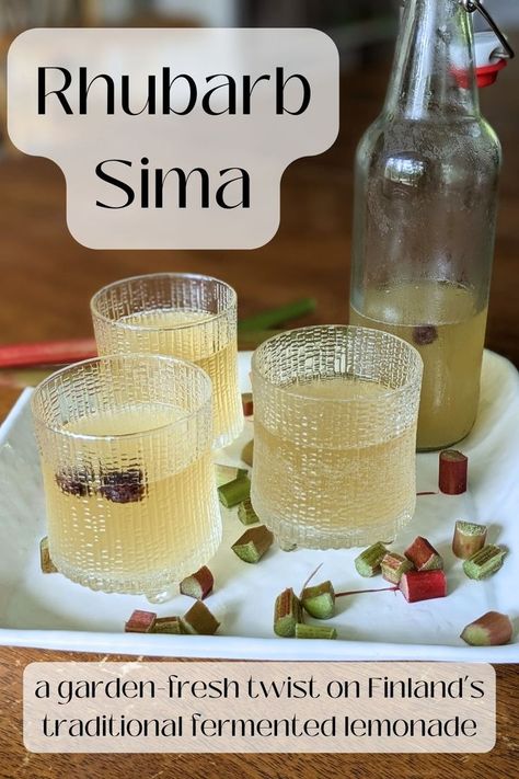 Rhubarb Sima brings a light, fresh flavor straight from the garden to Finland's classic favorite, sima! This rhubarb sima recipe is perfect for a beginner to home fermentation or for those already familiar with sima who may be looking for something new. Sima Recipe, Fermented Lemonade, Virgin Cocktail Recipes, London Fog Recipe, Fermented Fruit, Preserving Vegetables, Fermented Honey, Finnish Recipes, Fermented Vegetables