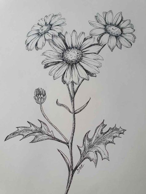 Daisy Flower Drawing, Flower Drawing Ideas, Daisy Drawing, A Daisy Flower, Simple Flower Drawing, Easy Flower Drawings, Flower Drawing Tutorials, Daisy Art, Drawing Step By Step