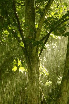 'Summer Rain' - Kate Reid | Fochabers Burn Bright Rainy Day Aesthetic, Happy Rain Aesthetic, Rainy Weather Photography, Rain Beauty, I Love Rain, Matka Natura, Rain Storm, Love Rain, Singing In The Rain