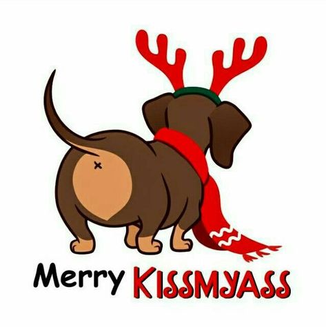 Christmas Dachshund, Dachshund Funny, 강아지 그림, Christmas Card Art, Dachshund Christmas, Dog Vector, Funny Dachshund, Merry Christmas Png, Vector Cartoon