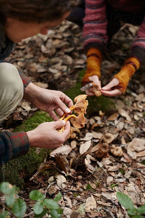 Mushroom Foraging, Herbst Bucket List, Mushroom Cottage, Mushroom Hunting, Wild Food, Walk In The Woods, In The Forest, Permaculture, Country Life