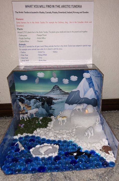 2nd grade biome project Antarctica Ecosystem Project, Arctic Tundra Ecosystem Project, Marine Biome Project, Artic Shoebox Project, 1st Grade Diorama Project, Arctic Animal Habitat Project, Biome In A Box Project Tundra, Shoebox Biome Project, Attic Tundra Biome