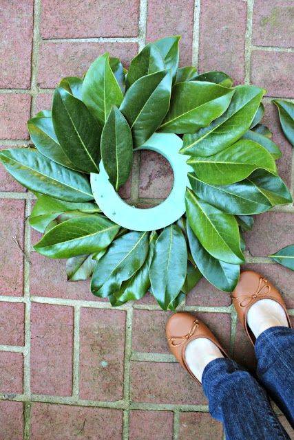 Wreaths Diy Dollar Stores, Diy Magnolia Wreath, Magnolia Leaf Wreath, Diy Girlande, Magnolia Leaf, Magnolia Wreath, Magnolia Leaves, Creation Deco, Wreaths Diy