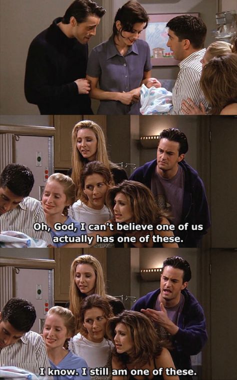 Friends Serie Tv, Friends Tv Show Funny, Friends Humor, Friends Serie, Pivot Friends, Friends Tv Quotes, Friends Memes, Friend Jokes, Friends Scenes