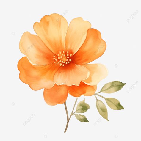 orange cute flower in watercolor style orange flower floral png Flower Close Up, Floral Png, Transparent Flowers, Png Floral, Up Tattoos, Flower Clipart, Orange Flower, Cute Flower, Floral Style