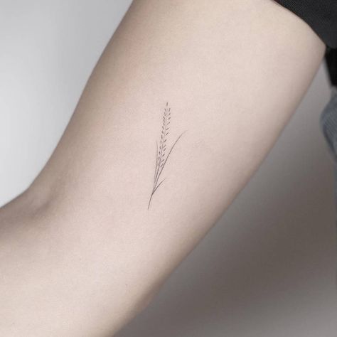 Tattoo Wheat Small, Tiny Wheat Tattoo, Dainty Wheat Tattoo, Wheat Stalk Tattoo, Rice Plant Tattoo, Rice Branding, Grain Tattoo, Farm Tattoo, Wheat Tattoo