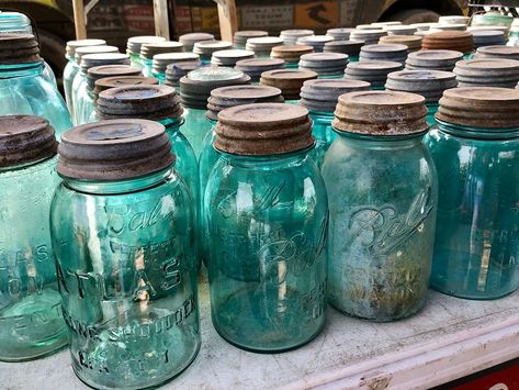 Ball Jars Ideas, Egg Cracking, Uses For Mason Jars, Mason Jar Herb Garden, Jars Ideas, Fermenting Jars, Colored Mason Jars, Large Mason Jars, Kitchen Windowsill