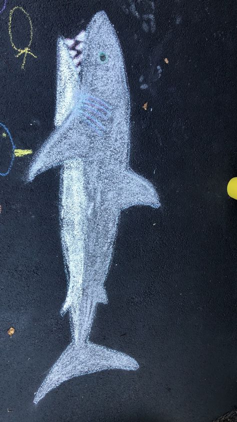 Sidewalk Chalk Animals, Whale Chalk Art, Chalk Sea Animals, Shark Chalk Art, Animal Chalk Art, Chalk Artwork, Fun Chalk Art, Chalkboard Doodles, Shark Drawing