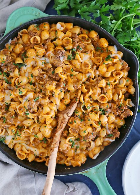 One-Pot Creamy Beef and Shells Medium Shell Pasta Recipes, Cheesy Shells Pasta, Mini Shell Pasta Recipes, Small Shell Noodle Recipes, Macaroni Shells Recipes, Mini Pasta Shell Recipes, Mini Pasta Shells Recipe, Mini Shells Pasta Recipes, Conchiglie Pasta Recipes