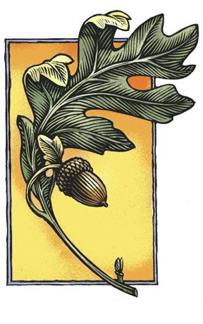 Mises En Page Design Graphique, Art And Craft Design, Arts Crafts Style, 자수 디자인, Oak Leaf, Arts And Crafts Movement, Leaf Art, Lino Print, Woodblock Print