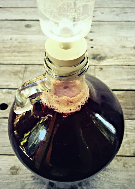 Elderberry Mead, Mead Recipes, Apothecary Diy, Hippie Juice, Mead Wine, Mead Recipe, Fermented Honey, Honey Wine, Homemade Wine