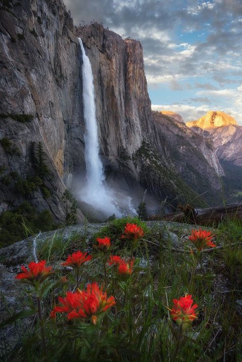 YOSEMITE FALLS | YOSEMITE NATIONAL PARK, CALIFORNIA  Fine Art Limited Edition of 100  Yosemite Falls is the highest waterfall in Yosemite National Park, dropping a total of 2,425 feet (739 m) from the top of the upper fall to the base of the lower fall. Located in the Sierra Nevada of California, it is a major attraction in the park, especially in late spring when the water flow is at its peak. Photo © copyright by Max Foster #yosemitefalls #yosemite #yosemitenationalpark #halfdome Yosemite National Park Photography, Yosemite Photography, National Parks Photography, National Park Photos, Landscape Photography Tips, Yosemite Falls, Yosemite Valley, Beautiful Waterfalls, Zion National Park