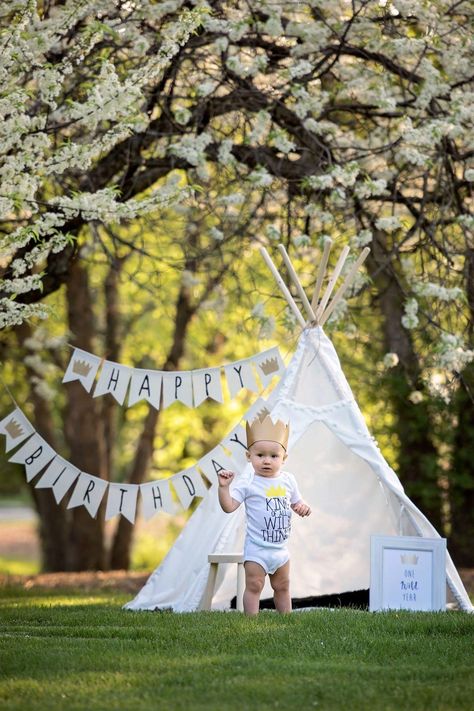 Cairo Photoshoot, One Year Old Photoshoot, Wild Things Birthday, Indoor Teepee, Old Photoshoot, Baby Birthday Party Theme, Baby Birthday Photoshoot, 1st Birthday Pictures, Baby Boy First Birthday