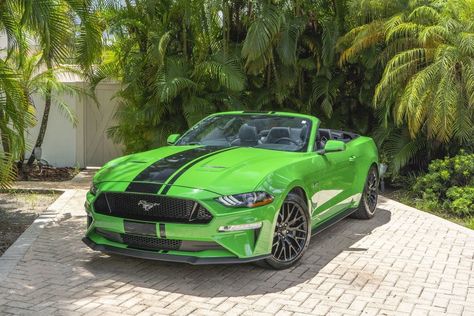 2019 Ford Mustang GT Convertible Review (Top Speed) Chevy Camaro Convertible, Mustang 2018, 2007 Ford Mustang, New Mustang, Camaro Convertible, Mustang Ecoboost, Ford Mustang Coupe, Ford Mustang Car, Ford Mustang Convertible