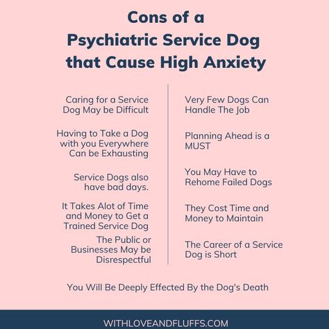 Are you ready to deal with the challenges of life with a psychiatric service dog? Find out more information to see if a service dog is right for you. Psychiatric Service Dog, Psychiatric Services, Service Dog Patches, Puppy Socialization, Service Dogs Gear, Service Dog Training, Dog Quote, Dog Patch, Notes Ideas