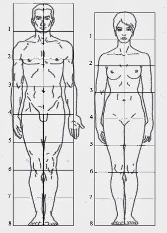 Drawing Body Proportions Human Figures, Human Body Proportion Drawing, Human Anatomy Sketches, Body Proportion Drawing, Human Body Proportions, Human Proportions, Drawing Body Proportions, Human Body Drawing, Human Figure Sketches