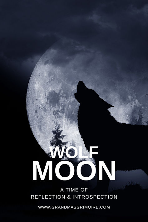 Wolf Moon: A Time of Deep Reflection and Introspection Full Wolf Moon 2024, Full Wolf Moon, Moon Craft, Witch Tips, Moon Crafts, Magic Moon, Wolf Moon, Spiritual Development, Moon Magic