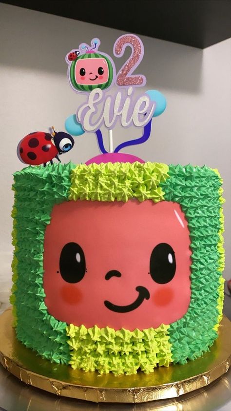 Baby Birthday Party Theme, Coco Melon, 2nd Birthday Party For Boys, Watermelon Birthday Parties, 2nd Birthday Party For Girl, Cocomelon Birthday, 1st Birthday Party For Girls, Baby Boy 1st Birthday Party, The Ladybug