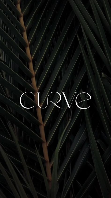 Curve offers logo & branding design services to help you create a memorable and effective brand identity for your Pilates Studio Logo, Pilates Logo, Business Fonts, Inspiration Logo Design, Elegant Logo Design, Luxury Branding Design, Logo And Branding, Luxury Logo Design, Logo Design Typography