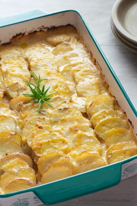 Potato Gratin with Aged Gouda Cheese | Biscuits & Burlap Gouda Cheese Recipes, Gouda Recipe, Gratin Potatoes, Cheese Potato, Cheesy Potato, Potatoes Au Gratin, Tomato Pie, Potato Gratin, Cheese Biscuits