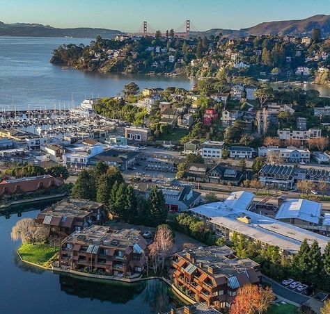 San Francisco ❤️ California 🇺🇸 on Instagram: "Morning view from Tiburon ☀️ Credit by @thurber_shots #sanfrancisco #california #goldengate #sfgate #bridge #goldengatebridge #bayarea…" Tiburon California, Lombard Street, Morning View, Visit California, Denver Colorado, Bay Bridge, Golden Gate, Golden Gate Bridge, Bay Area