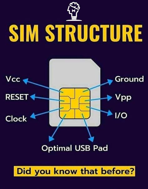 Phone Aesthetic Android, Android Phone Aesthetic, Android Vs Iphone, Tabel Periodik, Android Aesthetic, Basic Electronic Circuits, Basic Computer Programming, Computer Science Programming, Data Science Learning