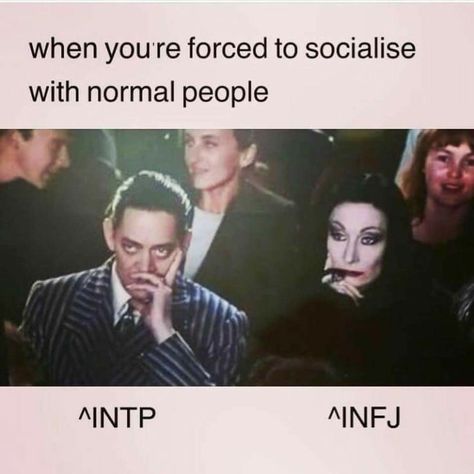 Intp And Infj Couple, Intp And Infj Duo, Intp Infj Friendship, Intp Love Relationships, Intp Quotes Aesthetic, Infj Intp Love, Infj And Intp Relationship, Entp And Intp Relationship, Intp Aesthetic Pictures