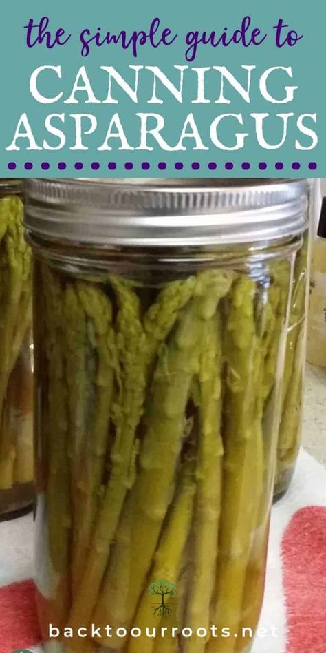 Canning Asparagus, Fermenting Recipes, Pantry Basics, Pickled Asparagus, Amish Lifestyle, Food Prepping, Homesteading Tips, Pressure Canning Recipes, Modern Homestead