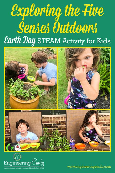 Teach your kids about their five senses while they explore your backyard! These simple, fun activities are sure to make your kid smile and they’ll learn too! #stemforkids #scienceforkids #fivesenses #outdoorplay #backyardscience Play Schemas, Steam Activities For Kids, Our Five Senses, Steam Activity, Senses Activities, The Five Senses, Smelling Flowers, Sense Of Sight, Outdoor Education