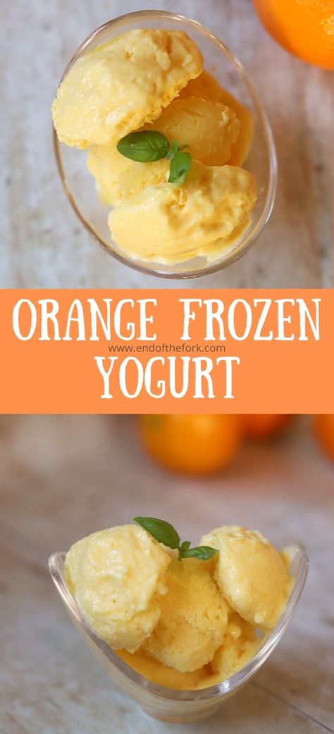 Vitamin Ice Cream, Frozen Orange Ice Cream, Vitamix Frozen Yogurt Recipes, Frozen Yogurt Recipe No Ice Cream Maker, Frozen Greek Yogurt Ice Cream, Healthy Ice Cream Maker Recipes, Healthy Frozen Desserts, Frozen Yogurt Recipe Ice Cream Maker, Greek Yogurt Ice Cream Recipe