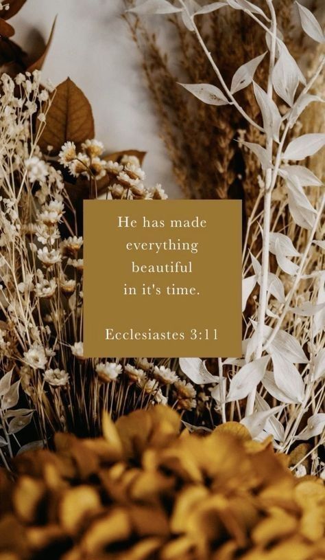 Lockscreen Christian, Ecclesiastes 3 11, The Human Heart, Christian Quotes Wallpaper, Bible Verse Background, Trust In God, Faith Scripture, Bible Quotes Wallpaper, Bible Quotes Images