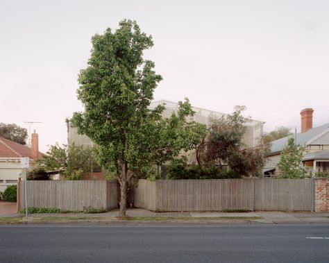 Baracco + Wright Architects, Richard Stampton Architects, Rory Gardiner · Fitzroy Community School Creative Space · Divisare Baracco Wright, Rory Gardiner, Community School, Rose House, Roof Shapes, School Creative, Big Backyard, New Building, Simple Room