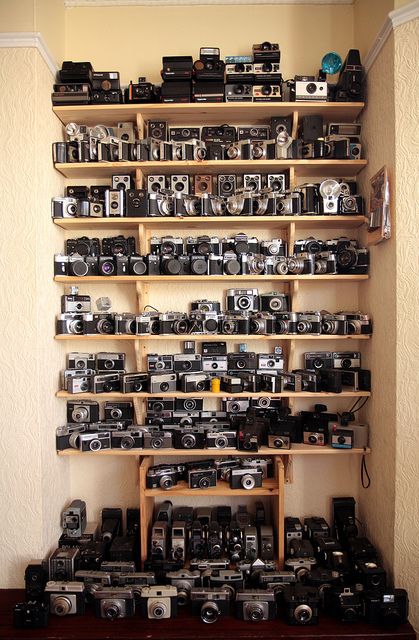 Camera Love Fotocamere Vintage, Photo Graphy, Camera Collection, Photo Deco, Antique Cameras, Camera Photos, Equipment Storage, Old Cameras, Collection Display