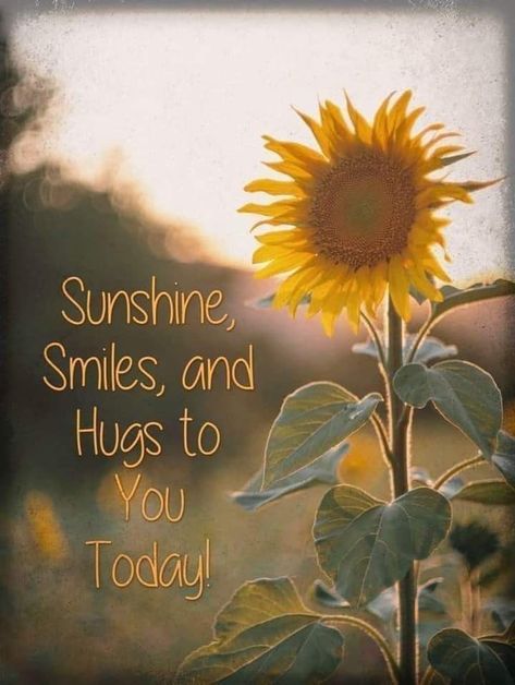 Sunny Day Quotes, Sunflower Quotes, Good Morning Sister, Thinking Of You Quotes, Afternoon Quotes, Good Morning Sunshine Quotes, Sunshine Quotes, Good Morning Flowers Quotes, Morning Quotes Funny