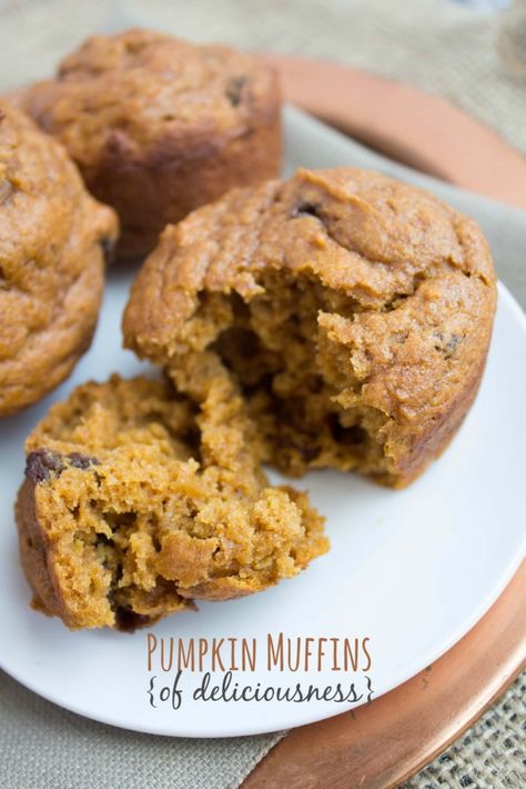 Healthy Pumpkin Muffins, Muffins Blueberry, Healthy Muffin, Pumpkin Muffins Easy, Pumpkin Recipes Healthy, Pumpkin Muffin Recipes, Healthy Muffin Recipes, Fall Breakfast, Pumpkin Chocolate Chips