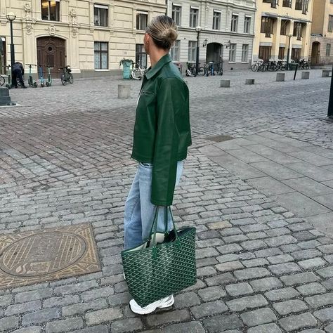 perfect_fashion_styling on Instagram: "1,2,3,4,5,6,7,8,9 or 10 @lojsanwallin ⚡ via @italy_top_fashion ⚡" Goyard Bag Outfit, Green Goyard Tote, Goyard Tote Outfit, Green Goyard, Goyard Tote, Edgy Accessories, Fashion Shoes Heels, Goyard Bag, Bag Outfit