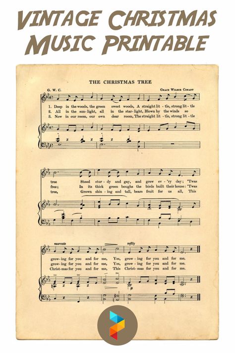 O Christmas Tree Sheet Music, Christmas Music Sheets Free Printable, Christmas Sheet Music Printable Free, Old Christmas Songs, Piano And Guitar, Xmas Songs, Printable Things, Song Ideas, Music Christmas