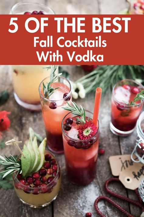 These are simply the best fall cocktails with vodka I have ever tried! They are so simple and delicious you will love every single recipe. Fall Cocktails Vodka, Cocktails With Vodka, Vodka Cranberry Cocktail, Fall Cocktail Recipes, Cocktails Made With Vodka, Vodka Cocktails Easy, Cranberry Vodka, Fall Cocktails Recipes, Fall Cocktail